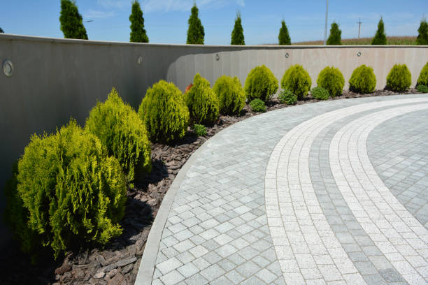 Best Driveway Paving Contractor  in Montezuma, GA